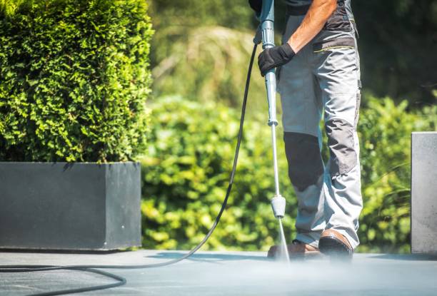 Best Fence Cleaning  in Goodhue, MN