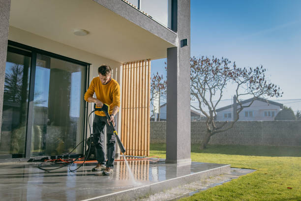 Best House Exterior Washing  in Goodhue, MN